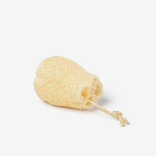 Luffa 10cm